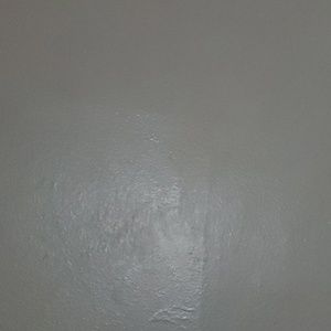 Meet your Posher, Millicent